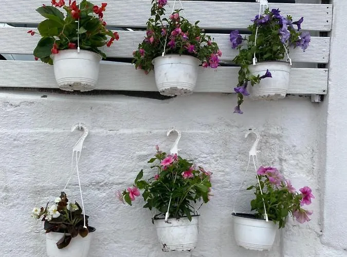 Caramelo 別荘 ビルバオ